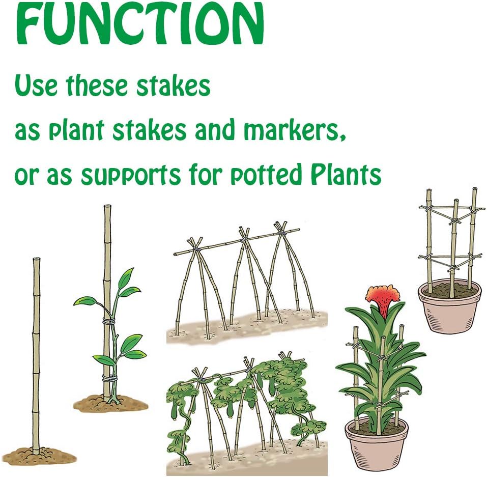 Mininfa Bamboo Garden Stakes - Eco-Friendly 4 Feet Plant Supports for Tomatoes, Trees & Beans | 25 Pack