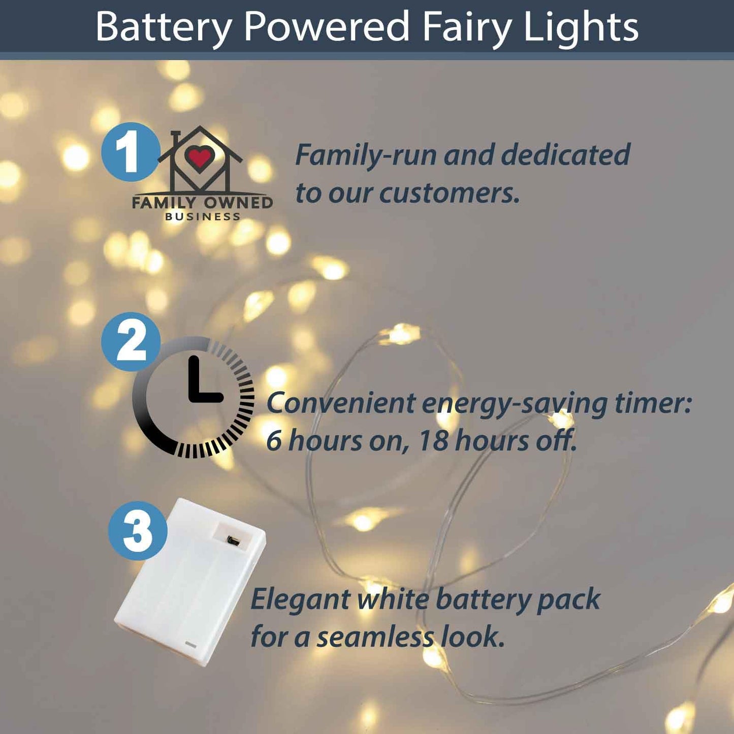 QBIS Warm White Fairy Lights Battery Operated With Timer Mode, 40 Micro LED for Mason Jars, 6.5ft Silver Wire Indoor Use
