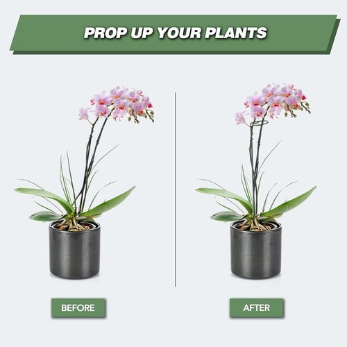 Joyhalo 16-Inch Plant Support Stakes - 12 Pack with 24 Twist Ties for Peonies, Tomatoes & More
