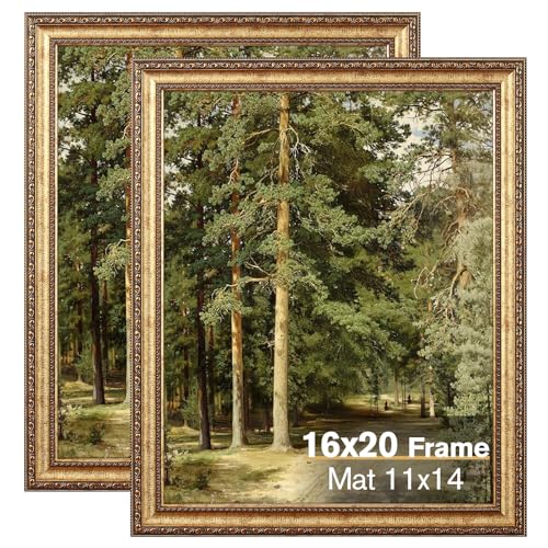 Antique Gold 16x20 Vintage Picture Frame with Mat - 2 Pack