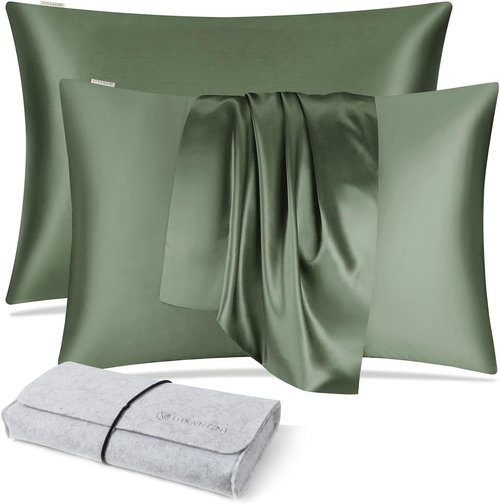 DISANGNI 100% Silk Pillow Cases - 22 Momme Mulberry Silk for Hair & Skin | Standard Size 20"x26" Green (2 Pack)