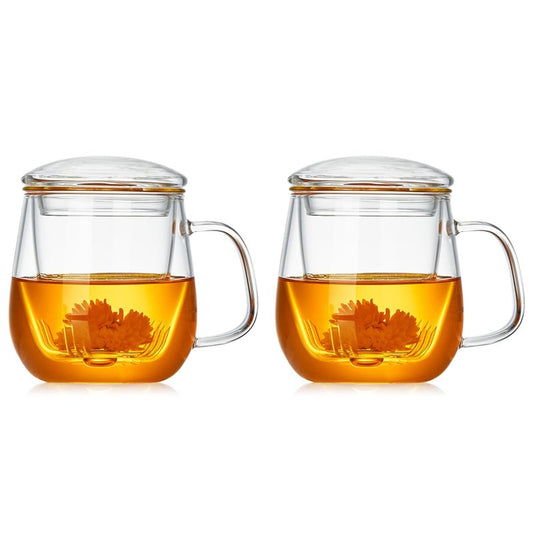 DOPUDO Glass Teacups 2 Pack Glass Tea Cup with Infuser and Lid, 17.6oz/520ml Large Borosilicate Teacup,Tea Clear Mug Cup for Loose Leaf Blooming Tea, Microwave & Dishwasher Safe.