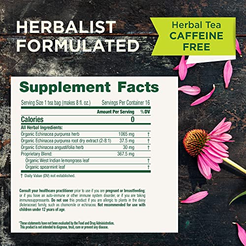 Traditional Medicinals Organic Echinacea Plus Spearmint Tea - 96 Bags, Pack of 6