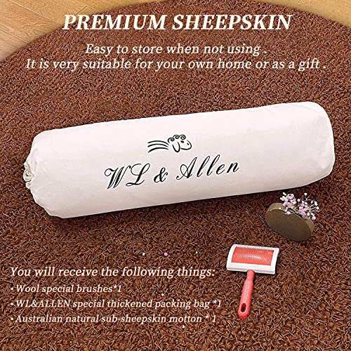 Large Sheepskin Rug - 2'6 x 3'7 Ivory White Thick Wool Area Rug, Australian Pelts