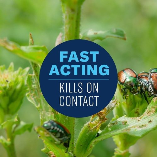 Bayer Advanced Bug Killer Concentrate - Effective Vegetable Garden Protection | 32-Ounce