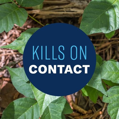 BioAdvanced Brush Killer Plus - Ready-to-Use Weed Killer Spray | 1 Gallon for Tough Brush & Poison Ivy