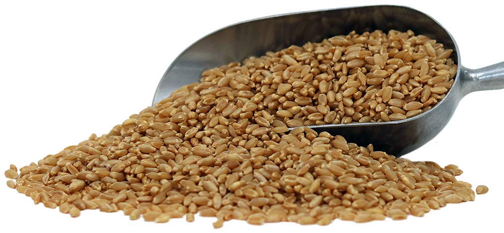 Organic Hard White Wheat Berries