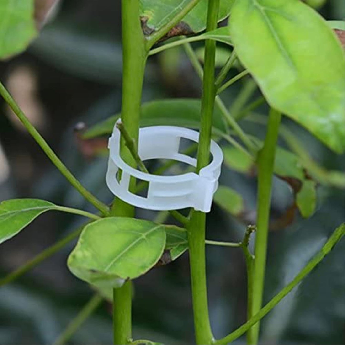 Skiennix Plant Support Clips - 100PCS Garden Clips for Tomatoes, Vines & Twine - Durable Fastening Tools