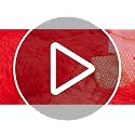HAIHUA Red Queen Plush Faux Fur Comforter Cover Set with Pillowcases