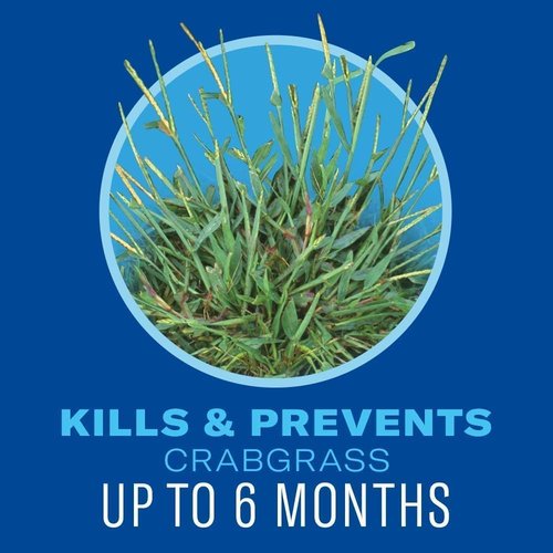 BioAdvanced 5-in-1 Weed and Feed Granules - Kills Weeds & Crabgrass - Nourishes Lawn - 9.6 lb Bag Treats 4,000 Sq Ft