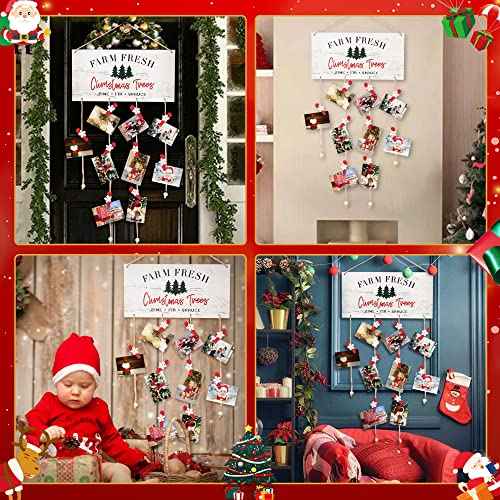 Christmas Card Holder Farm Fresh Wall Hanging Card Display Picture Holder with 30pcs Snowflake Wooden Clips for DIY Christmas Cards Photos Craft Home Office Wall Decor