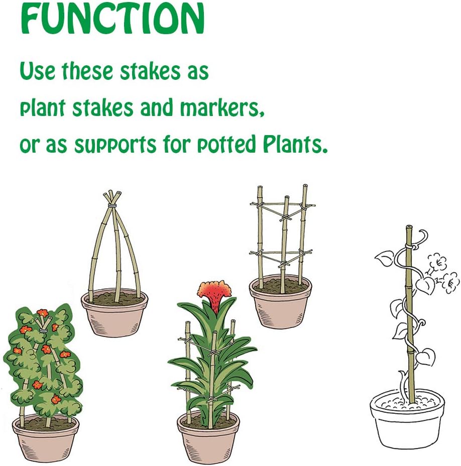 Mininfa Bamboo Garden Stakes - Eco-Friendly 3 Feet Plant Supports for Tomatoes, Trees & Beans | 25 Pack