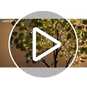 6FT Lighted Eucalyptus Tree with 400 Warm White LED Beads – Green-Eucalyptus