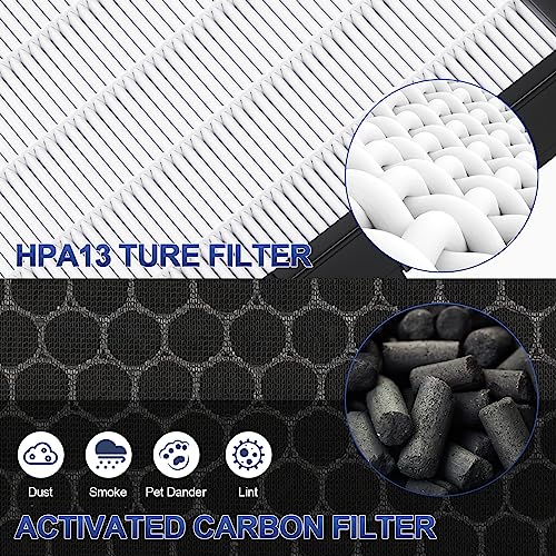 Horyliin Washable HEPA Replacement Filter B for Winix Air Purifiers - Black