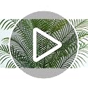 6ft Tall Artificial Palm Tree with 18 Leaves Indoor Decor Faux Tropical Areca Tree