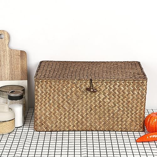 Hipiwe Wicker Shelf Baskets Bin with Lid Woven Storage Box, Coffee