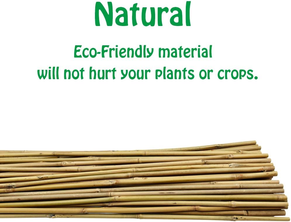 Mininfa Bamboo Garden Stakes - Eco-Friendly 4 Feet Plant Supports for Tomatoes, Trees & Beans | 25 Pack