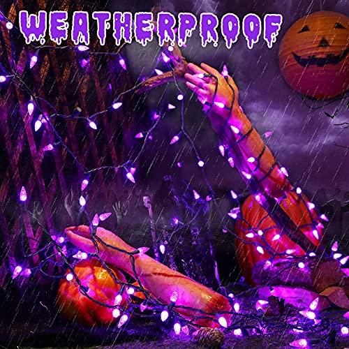 Brizled Purple Halloween Outdoor String Lights, 33 ft, 100 C5 LED (Purple)