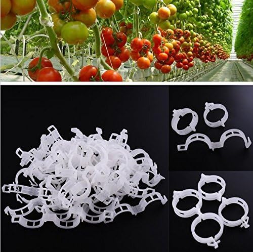 KINGLAKE Plant Support Clips - 200 Pcs Tomato Vine Trellis Clips for Healthy Upright Growth
