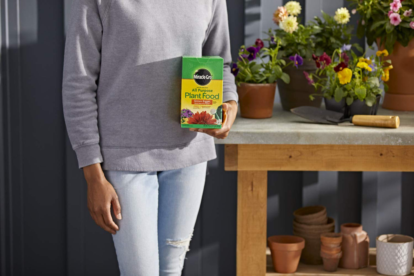 Miracle-Gro All Purpose Plant Food - Premium Fertilizer for Thriving Plants | 3 lb (6 Pack)