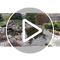 Heavy-Duty Pond Fish Net with Extendable Handle - Safe Koi & Fish Debris Skimming