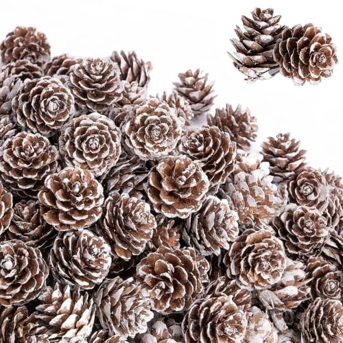 Snow 220 Pcs Christmas Mini Pine Cones Natural Snow Effect Decor - Small Xmas Craft Supplies