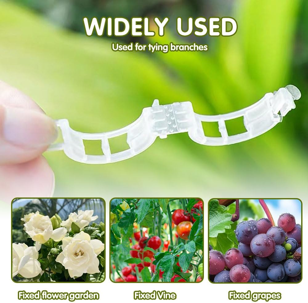 Skiennix Plant Support Clips - Reusable Plastic Clips for Climbing Plants | 50 Green Tomato Clips