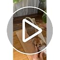 Vanerepok Large White Manual Bread Slicer with Adjustable Thickness for Homemade Sourdough