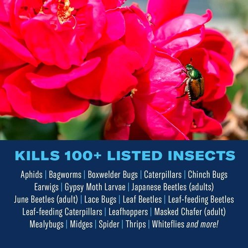 BioAdvanced Insect Killer - Ready-to-Use Plant Bug Spray for Roses & Flowers | 24 oz