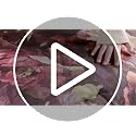 Purple Velvet Floral Comforter Set Queen 5-Piece - Shabby Chic Bedding