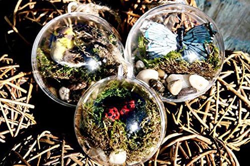 Clear Plastic Ball Ornaments - 80mm, Pack of 12 for Holiday Decor