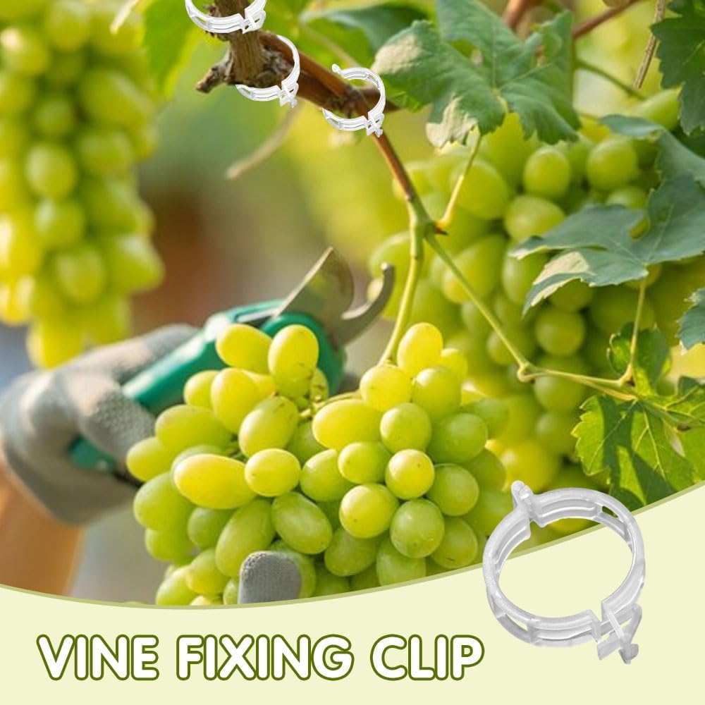 Skiennix Plant Support Clips - Reusable Plastic Clips for Climbing Plants | 50 Green Tomato Clips