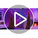 TURNMEON 5ft Black Tinsel Halloween Tree with Lights and Pumpkins