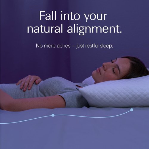 DreamyBlue Signature Pillow - Adjustable Loft Shredded Memory Foam | Washable Bamboo Rayon Cover - Queen Size