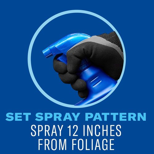 BioAdvanced Insect Killer - Ready-to-Use Plant Bug Spray for Roses & Flowers | 24 oz