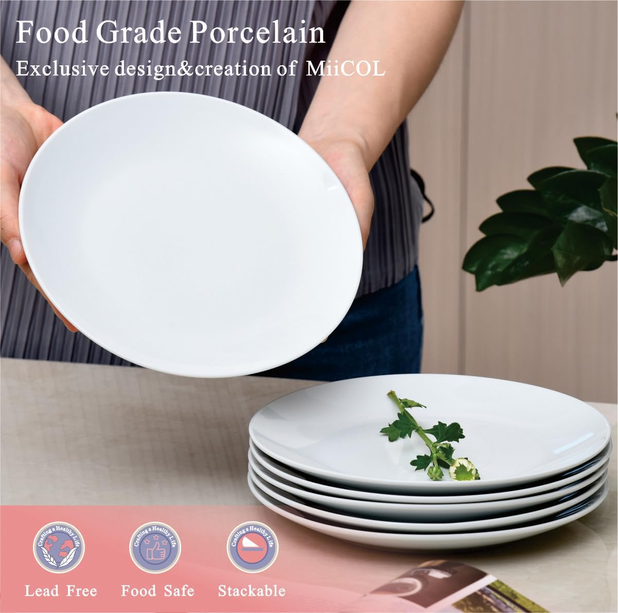 Miicol Ceramic Appetizer Plates - Set of 6 White 8-Inch Porcelain Dessert Plates | Modern Round Design, Microwave & Dishwasher Safe