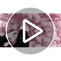 YITAHOME 7.5ft Pink Flocked Christmas Tree with Warm White Lights & 1346 Tips - Prelit Holiday Decor
