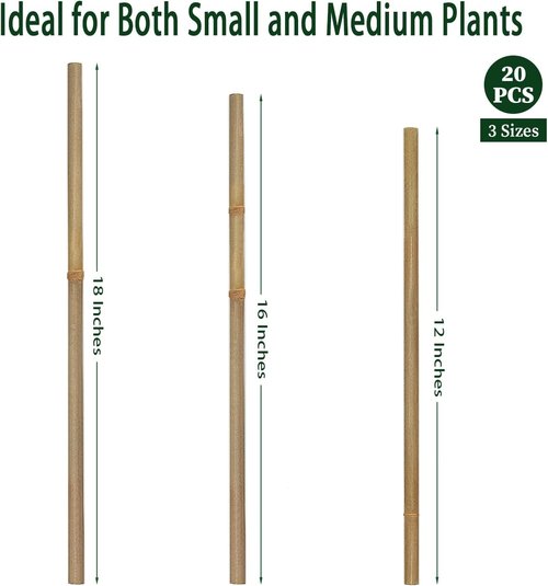 BOVITRO 18-Inch Natural Bamboo Plant Stakes - 20 Pcs Support for Tomatoes, Beans & Potted Plants