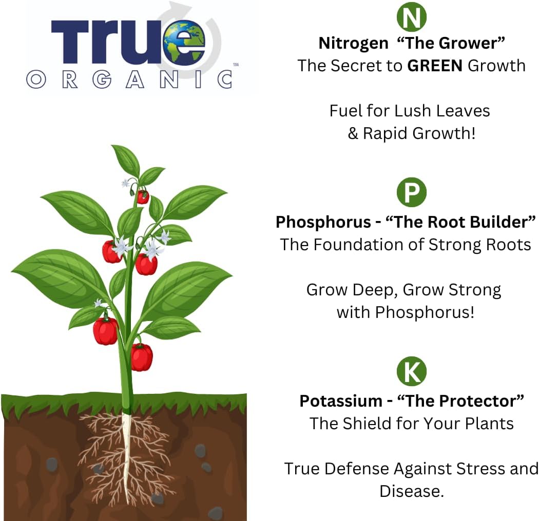 True Organic Raised Bed Food - Organic Fertilizer for Herbs, Flowers & Vegetables - 4lb Bag Covers 30 Sq. Ft.