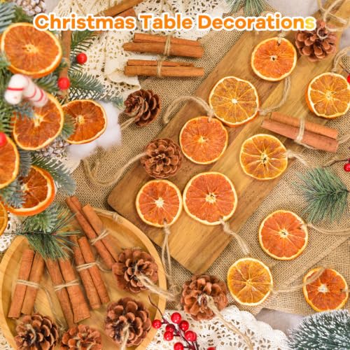 Christmas Dried Orange Slices Pine Cones Cinnamon Sticks Craft Set - 50 Pack