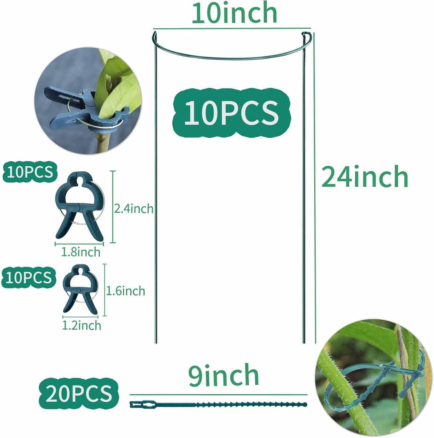 TCBWFY Plant Support Stakes - Heavy Duty 10-Pack Metal Cages for Peony | 10" Wide x 24" High