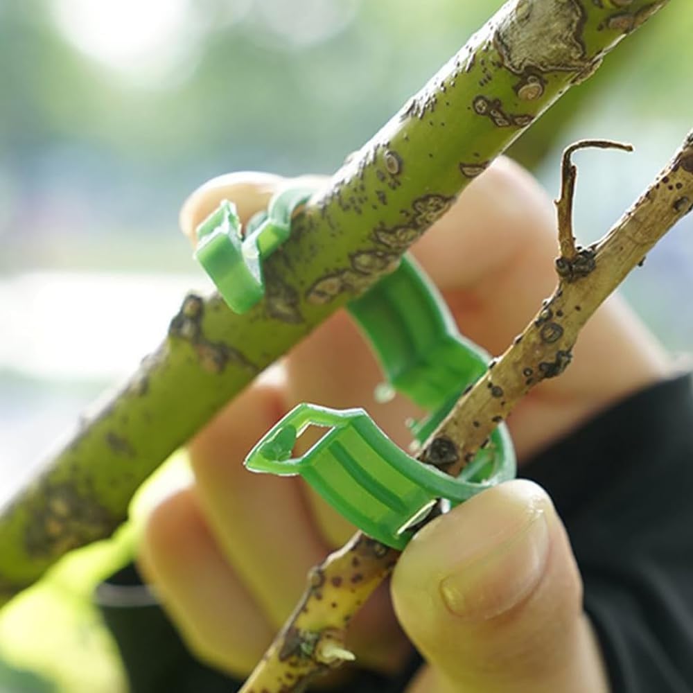 Secured Plastic Plant Clip - Reusable Support Clips for Climbing Plants & Vegetables (50 Pack, Green)