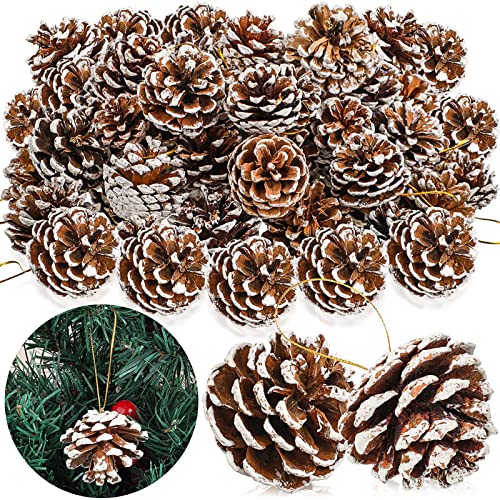 100 Pcs Christmas Pine Cone Ornaments Snowy Rustic Holiday Decor
