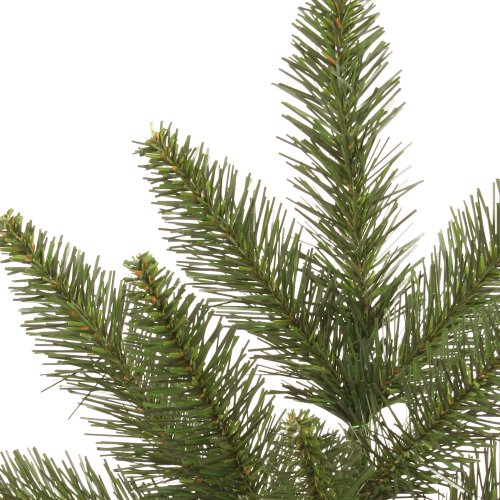 Vickerman Camdon Fir 16" Unlit Artificial Christmas Wreaths Pack of 2 - Green