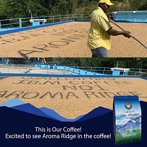 Aroma Ridge Jamaica Blue Mountain Coffee Whole Beans 16oz – Medium Roast, Certified Authentic