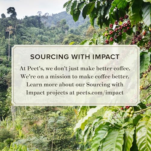Peet's Major Dickason's Blend Dark Roast K-Cup Coffee Pods – Pack of 150