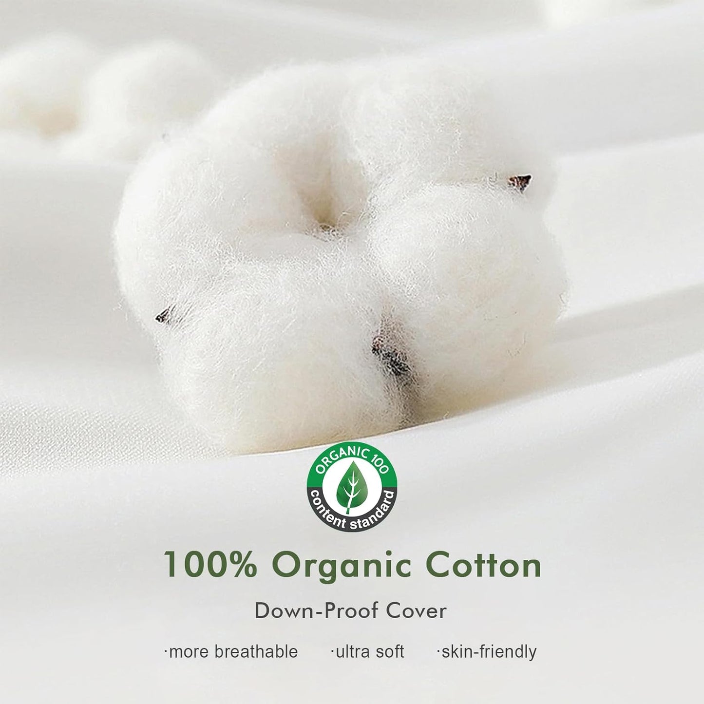 TOPGREEN Lumbar Pillow Insert - 100% Organic Cotton Shell, 14x36 Size, Perfect for Sofa or Bed (White)