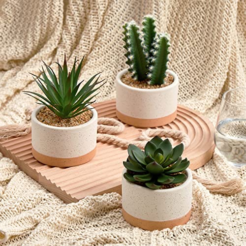 ASTRIDIA Artificial Succulent Plants Set of 3 in Burlywood Ceramic Pots