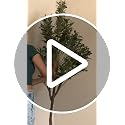 6ft Artificial Olive Tree with Pot - Faux Indoor Tree, Realistic Greenery, Easy Assembly, Perfect for Home & Office Decor (Soft Green / 1)