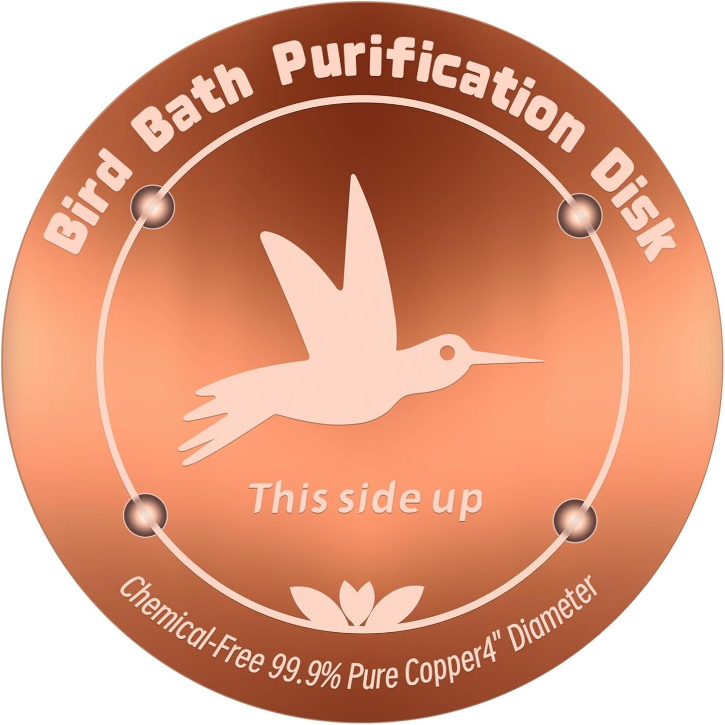 Skiennix Pure Copper Bird Bath Purification Disk - 4 Inches, 0.6mm Thick, All-Season Water Cleaner